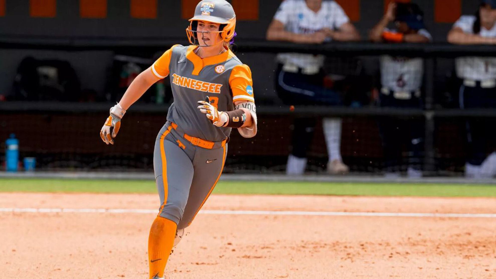 lady vol