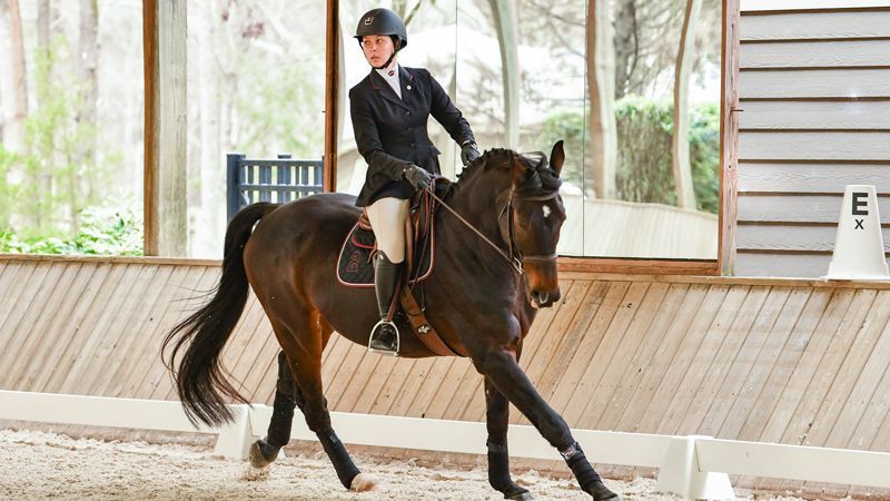 Esquestrian Rider SEC Equestrian Riders of the Month - Southeastern Conference